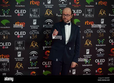 The Goya Awards Ceremony; A Night Celebrating Cinematic Excellence and Unveiling Spain's Artistic Soul